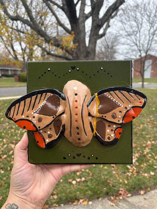 The Moth™️